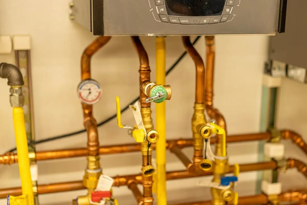 Licensed technician providing Sewer Cleanout for a homeowner in Zelienople